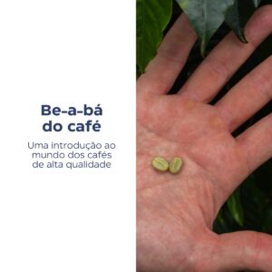 Curso Be-a-bá do café: introdução ao mundo dos cafés de alta qualidade