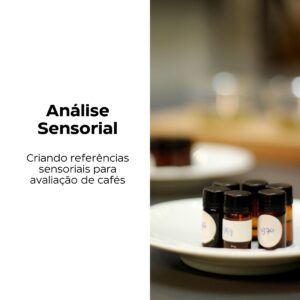 Curso Análise Sensorial